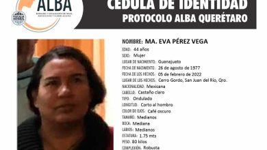 Photo of Activan Protocolo Alba por desaparición de mujer en San Juan del Río