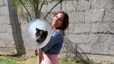 Photo of Erika Rosales gana batalla a favor de perrito Leónidas