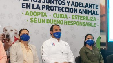 Photo of “Operación Cuatro Patas” Juntos y Adelante en La Protección Animal de San Juan del Río
