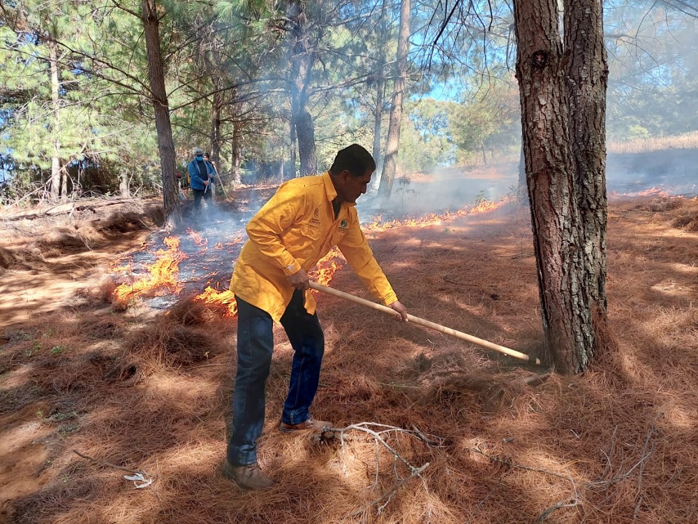 Quer Taro Registr Incendios Forestales En Lo Que Va Del A O