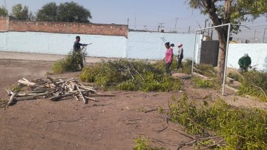Photo of Lluvias y vientos en San Juan del Río aumenta trabajo en Servicios Públicos