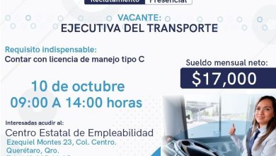 Photo of ST promueve vacantes para ejecutivas de transporte púbico
