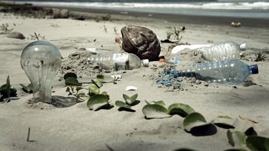 Photo of Depósito y retorno de botellas es aliado en lucha contra contaminación plástica
