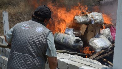 Photo of PGR Querétaro destruyó 85 toneladas de objetos delictivos
