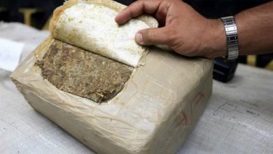 Photo of PGR aseguró 7 kilos de droga en Querétaro