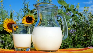 Photo of SAGARPA promueve el consumo de lácteos