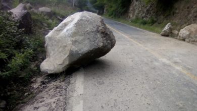 Photo of Enormes rocas caen en carretera federal 69