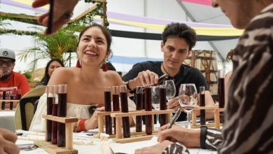 Photo of Tequisquiapan cerrará Feria del Queso y Vino con derrama económica de 250 mdp