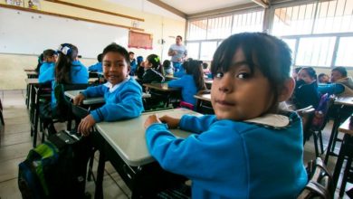 Photo of Reactivarán clases en Campeche; pero antes vacunará a 20 mil docentes