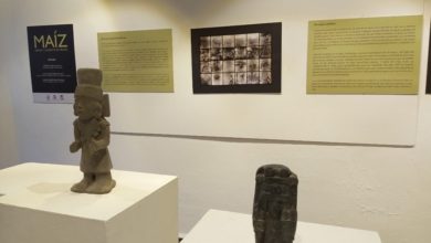 Photo of Exposición “Maíz, grano y sustento de México”
