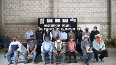 Photo of Constituyen Asociación de Productores de Aguacate de Querétaro A.C
