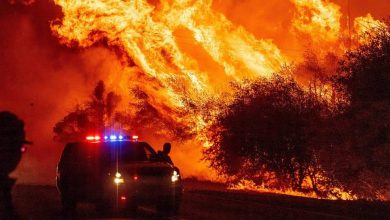 Photo of Incendios en Estados Unidos destruyen miles de hectareas