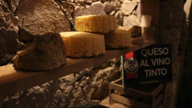 Photo of Gastrofest Querétaro te invita a conocer los mejores quesos de la región
