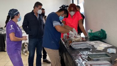 Photo of Arrancan campaña de esterilización de mascotas en Tequisquiapan