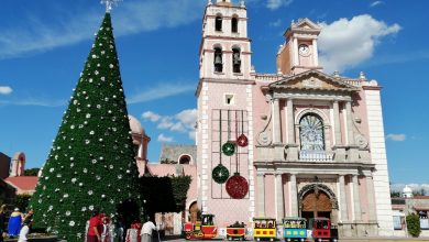 Photo of Tequisquiapan tendrá 4 árboles de los deseos para recibir la navidad