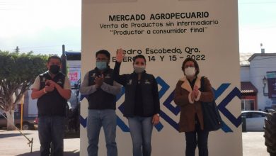 Photo of Todo un éxito el primer mercado agropecuario de Pedro Escobedo