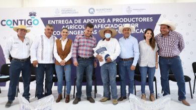 Photo of Seguro Catastrófico beneficia a 12 mil 200 productores del campo