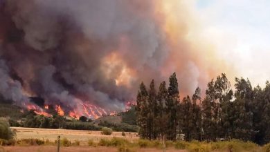 Photo of Chile solicita ayuda a México y otros países para combatir incendios