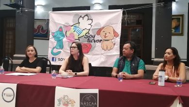 Photo of Asociación “Soy Tu Voz” realizará campaña de esterilización el 29 de abril