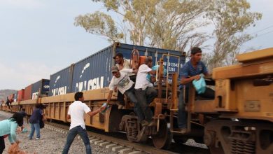 Photo of Aumenta flujo migratorio por ferrocarril: Estancia del Migrante