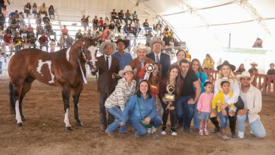 Photo of Rancho Iniro arrasó con los premios en la final de caballos en la feria