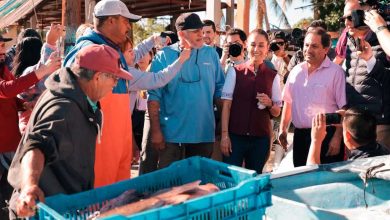 Photo of Sector pesquero en Sinaloa apoya a Claudia Sheinbaum